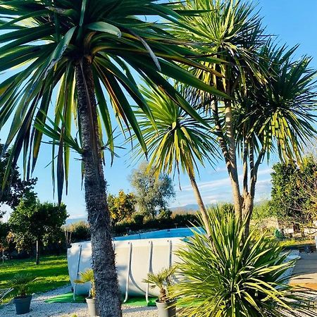 Apartment Quinta De Areias Crespos エクステリア 写真