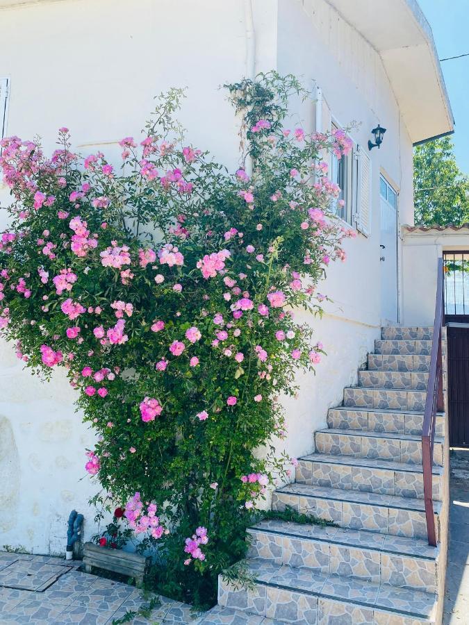 Apartment Quinta De Areias Crespos エクステリア 写真